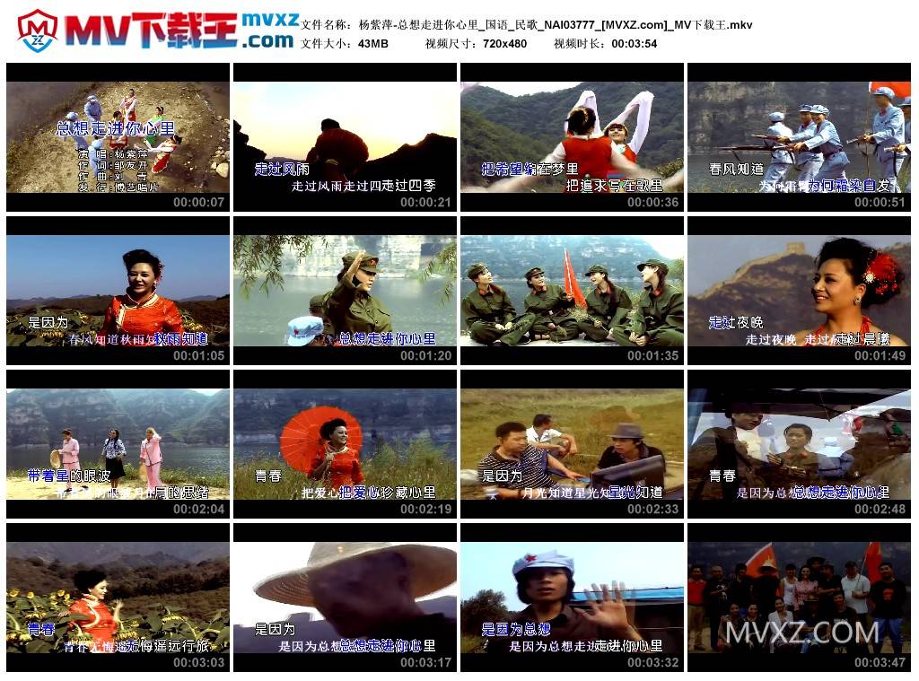 杨紫萍-总想走进你心里_国语_民歌_NAI03777